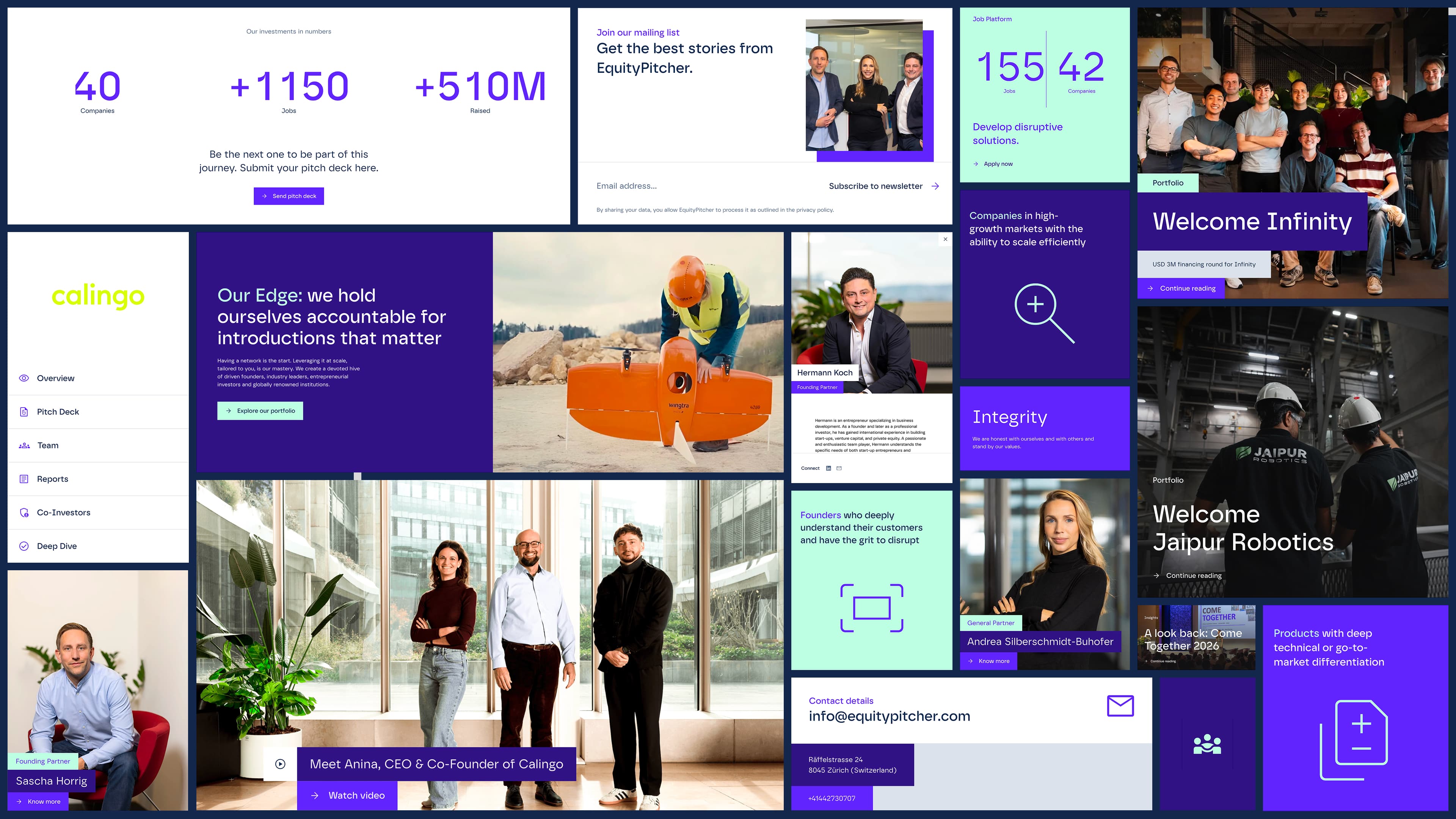 Grid of EquityPitcher website pages with key figures, portfolio stories and team photos