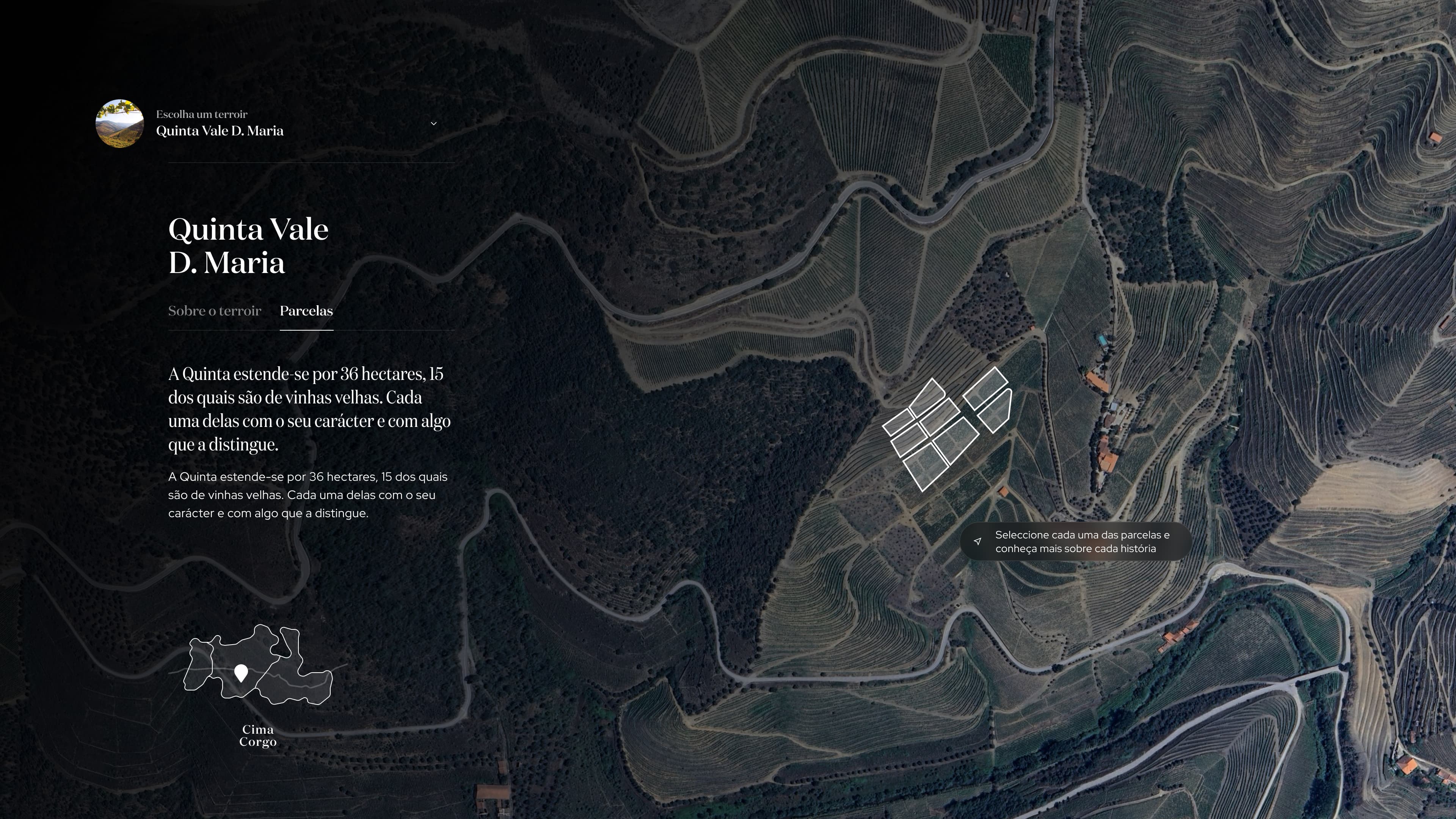 Map of the Quinta Vale D. Maria vineyards on the estate's website
